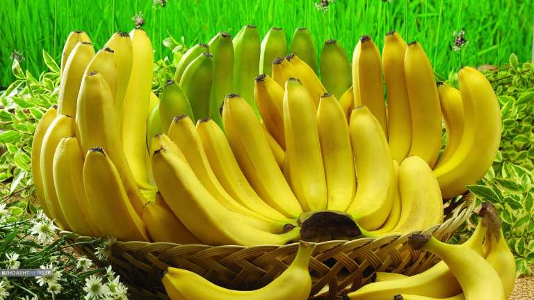 الموز في المنام