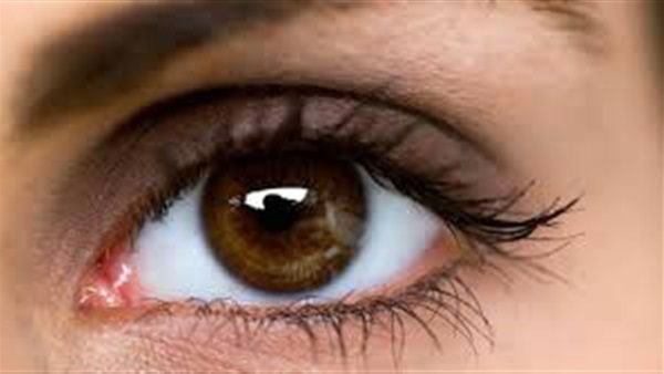 اول من شرح تركيب العين