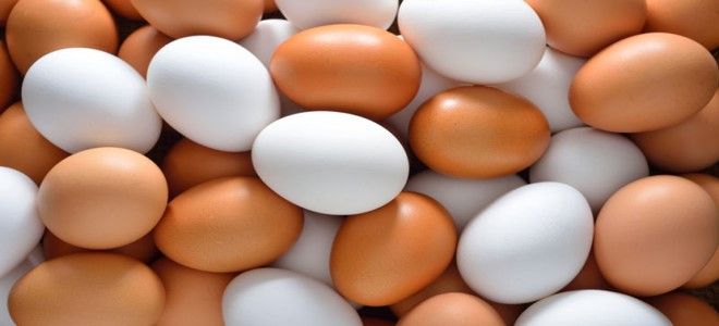 البيض في المنام للامام الصادق