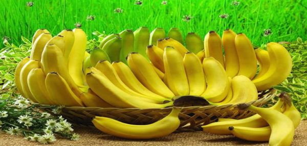 تفسير اكل الموز في المنام للنابلسي