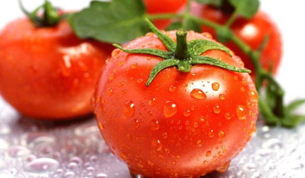 تفسير رؤية الطماطم في المنام للشباب