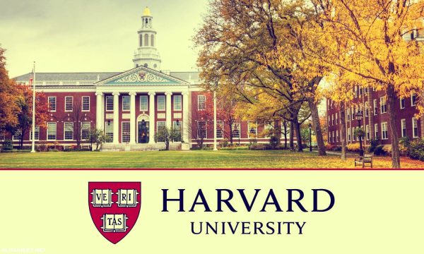 تخصصات جامعة هارفارد