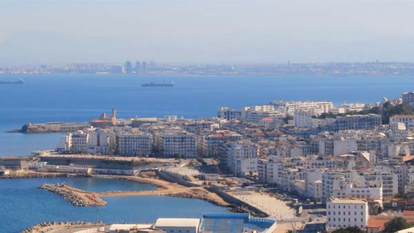 ما هي أحسن تجارة مربحة في الجزائر حاليا ؟